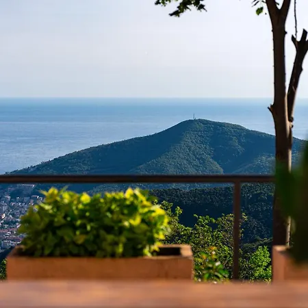 Adriatic Horizonte *